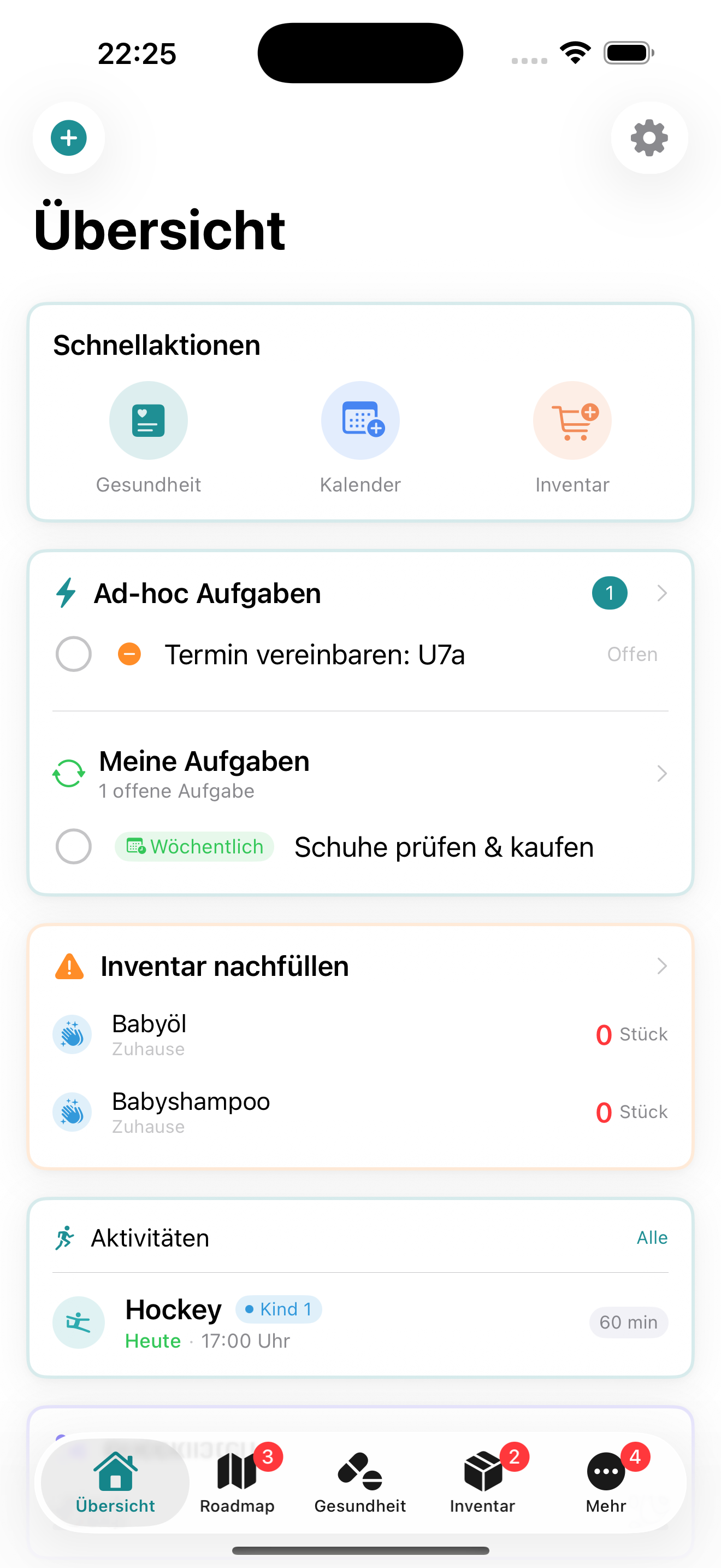 Screenshot: Übersicht / Dashboard