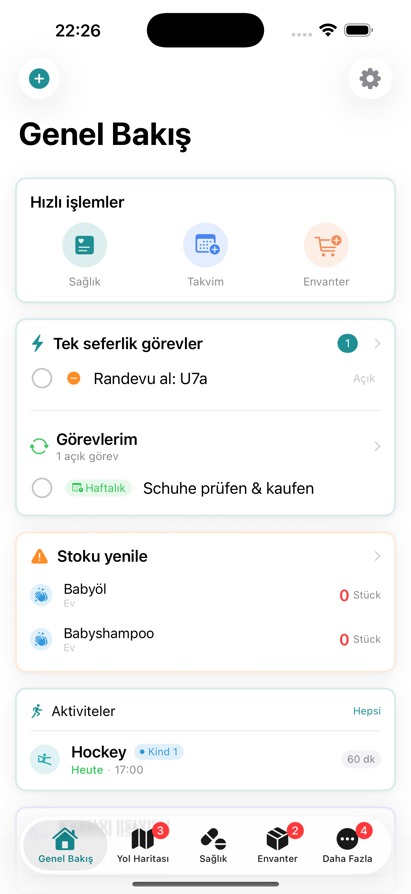 Ekran görüntüsü: Genel Bakış / Panel